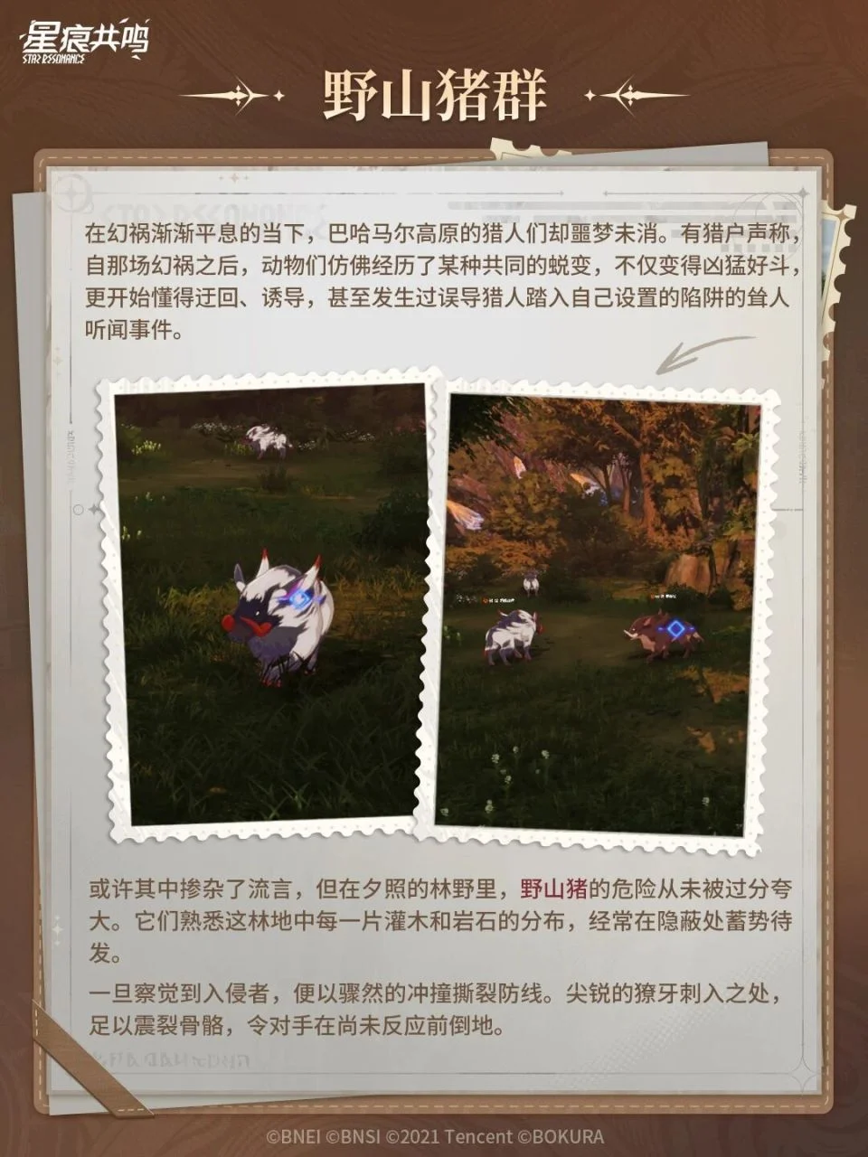 Duskglade Wilds / 巴哈马尔高原风土志丨夕照的林野 (3)